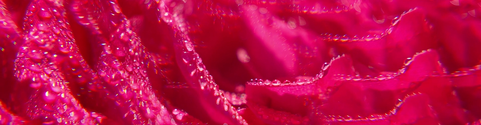 Αναζωογονητικά Αφρόλουτρα