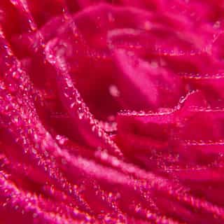 Rose Eau Parfumée Bienfaisante