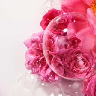 Rose Αναζωογονητικό Shower Gel