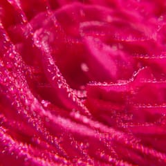 Rose Αναζωογονητικό Shower Gel